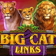 Big Cat Links